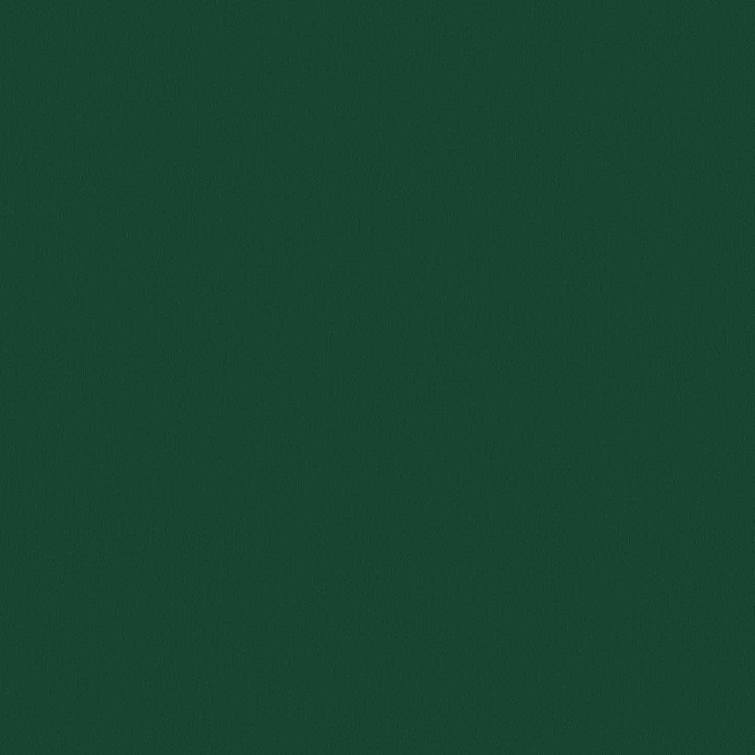 313-02