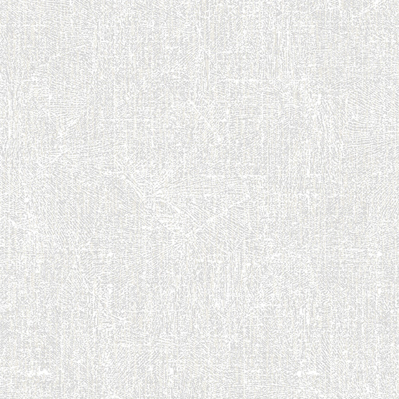 A6- (41)