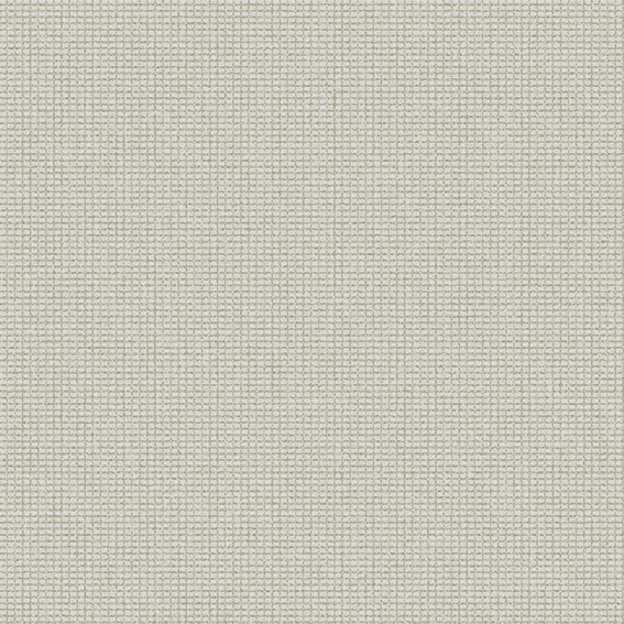 A6- (36)