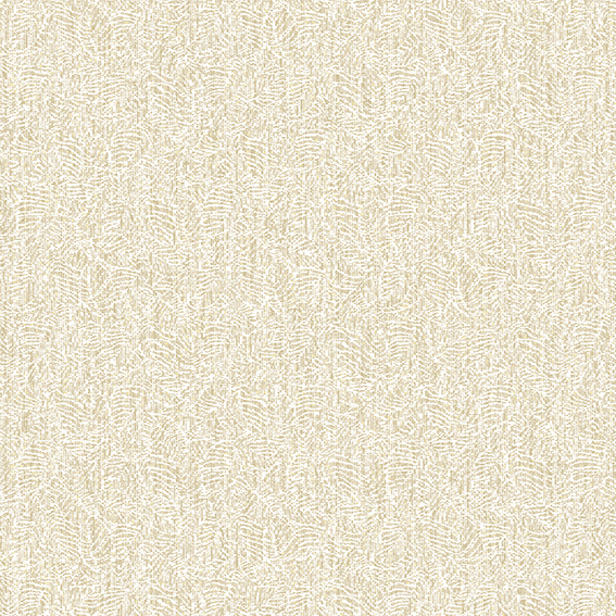 A6- (31)