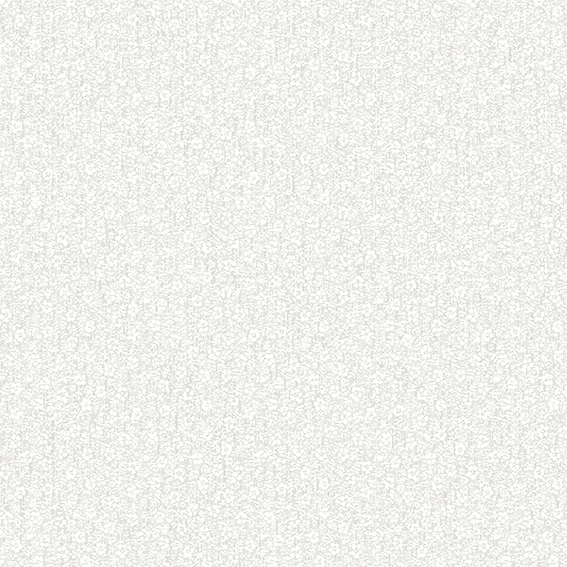 A6- (27)