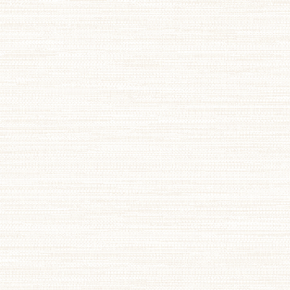 A6- (20)