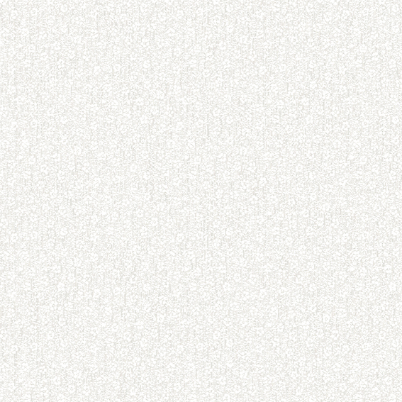 A6- (2)