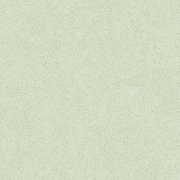 A8- (19)