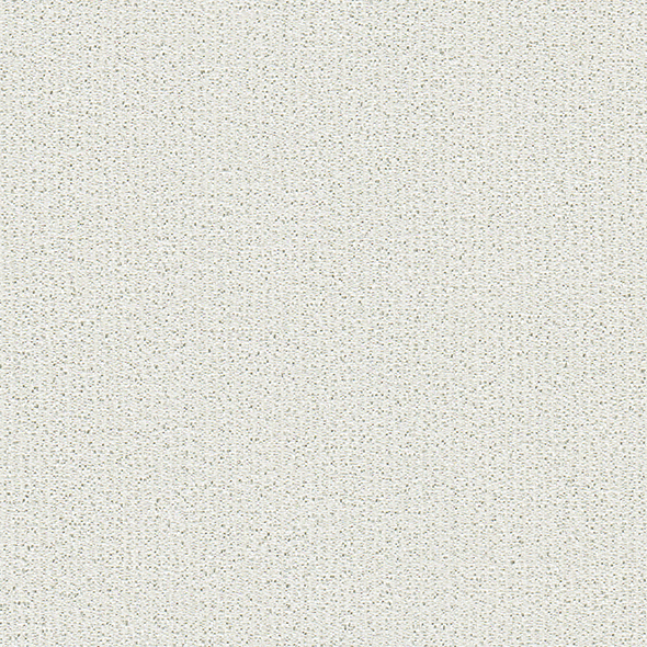 A10- (13)