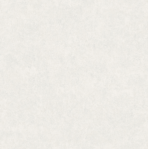 256-21