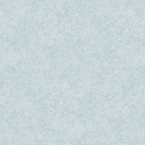 297-20