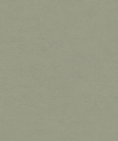 294-19