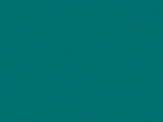 293-39