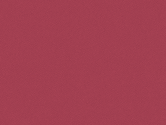293-19