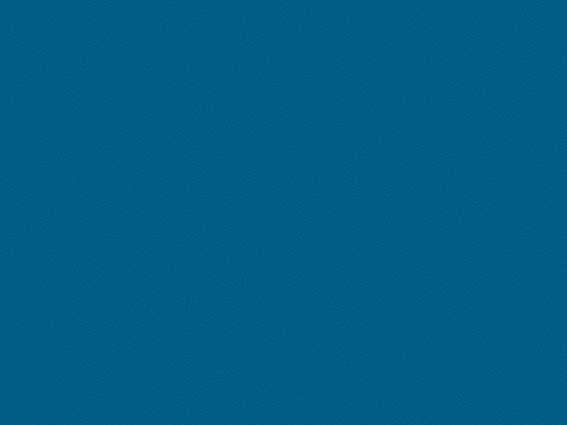 293-13