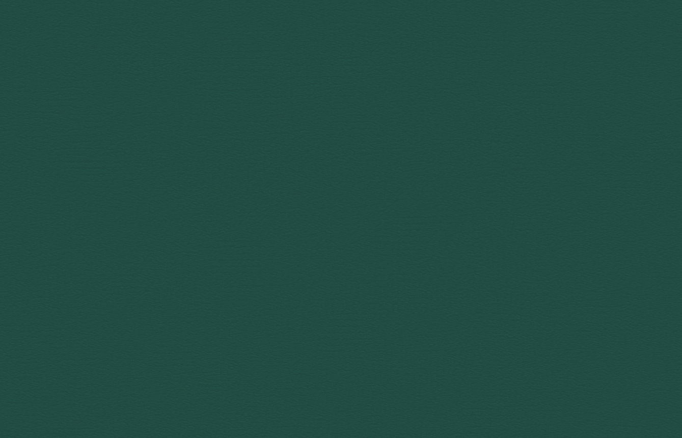 291-24