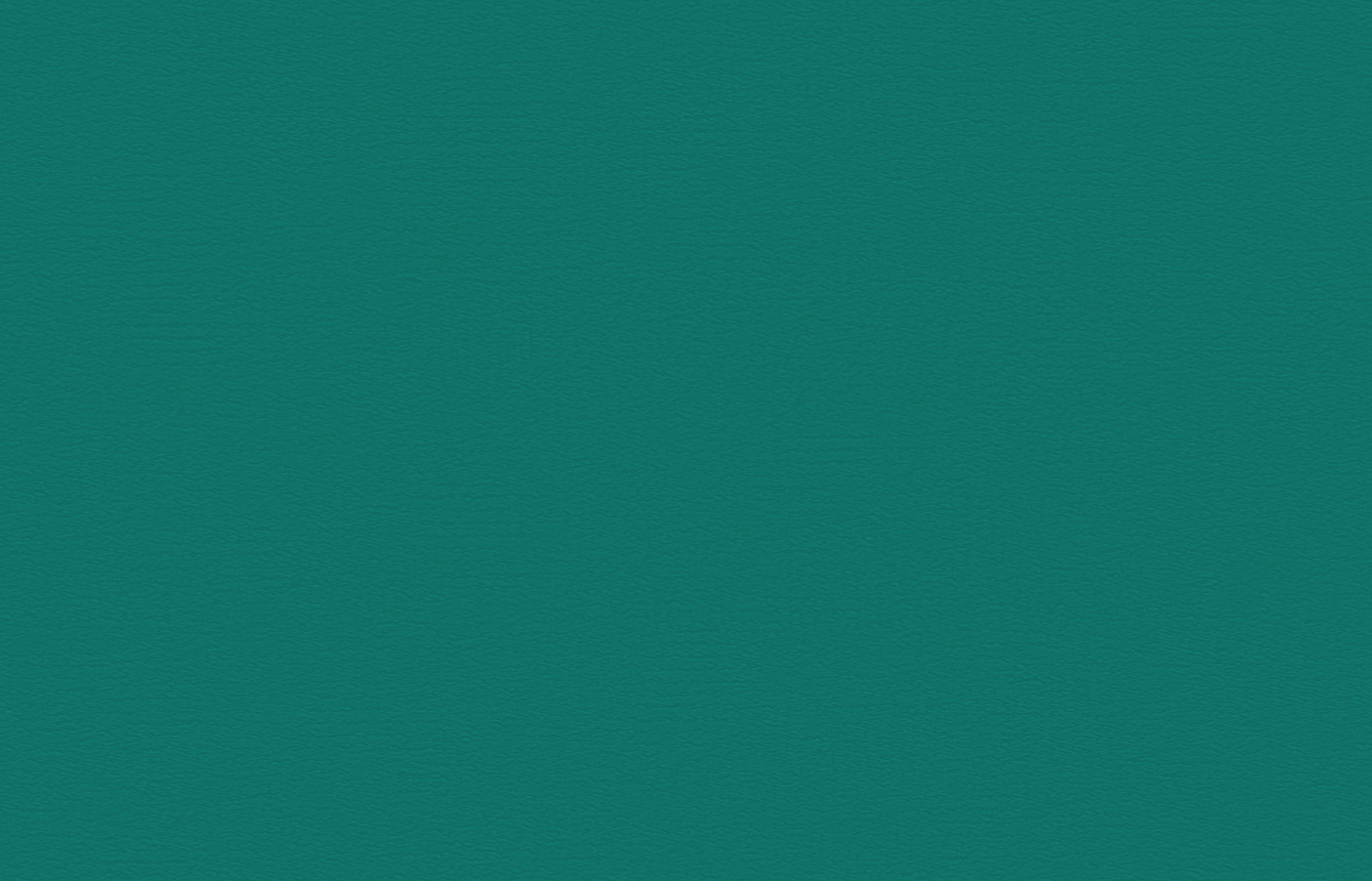 291-19