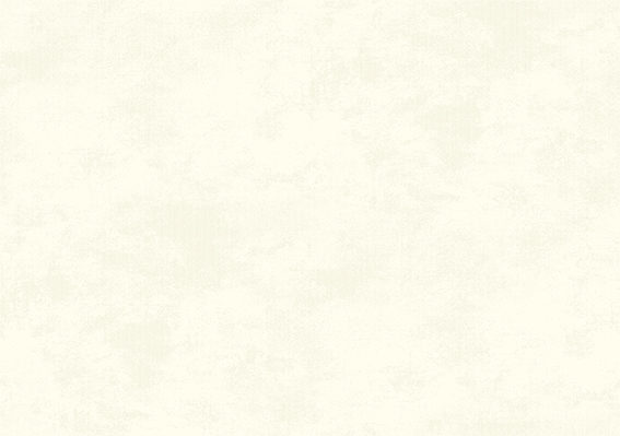 255-31
